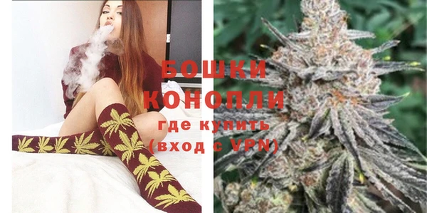 крисы Каменка
